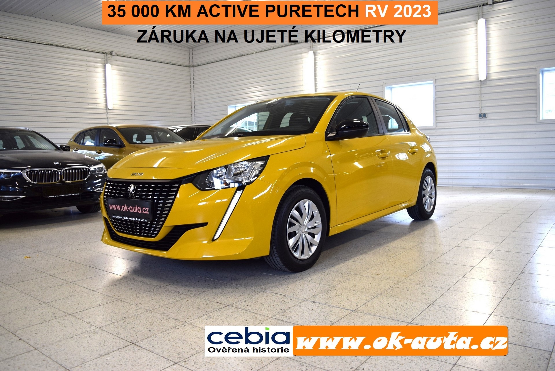 Peugeot 208 1.2 PT Active 03/2023