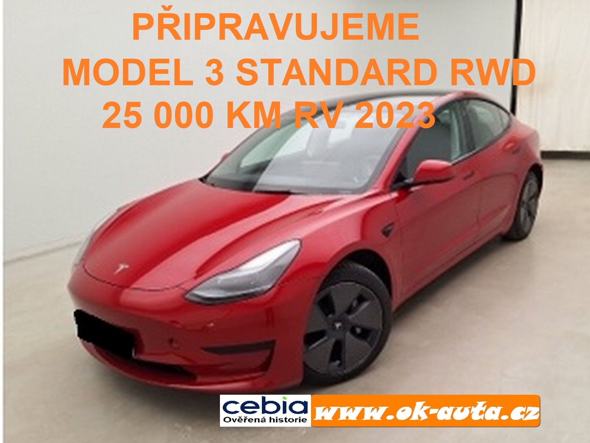 Tesla Model 3 Standard Range Plus 04/2023
