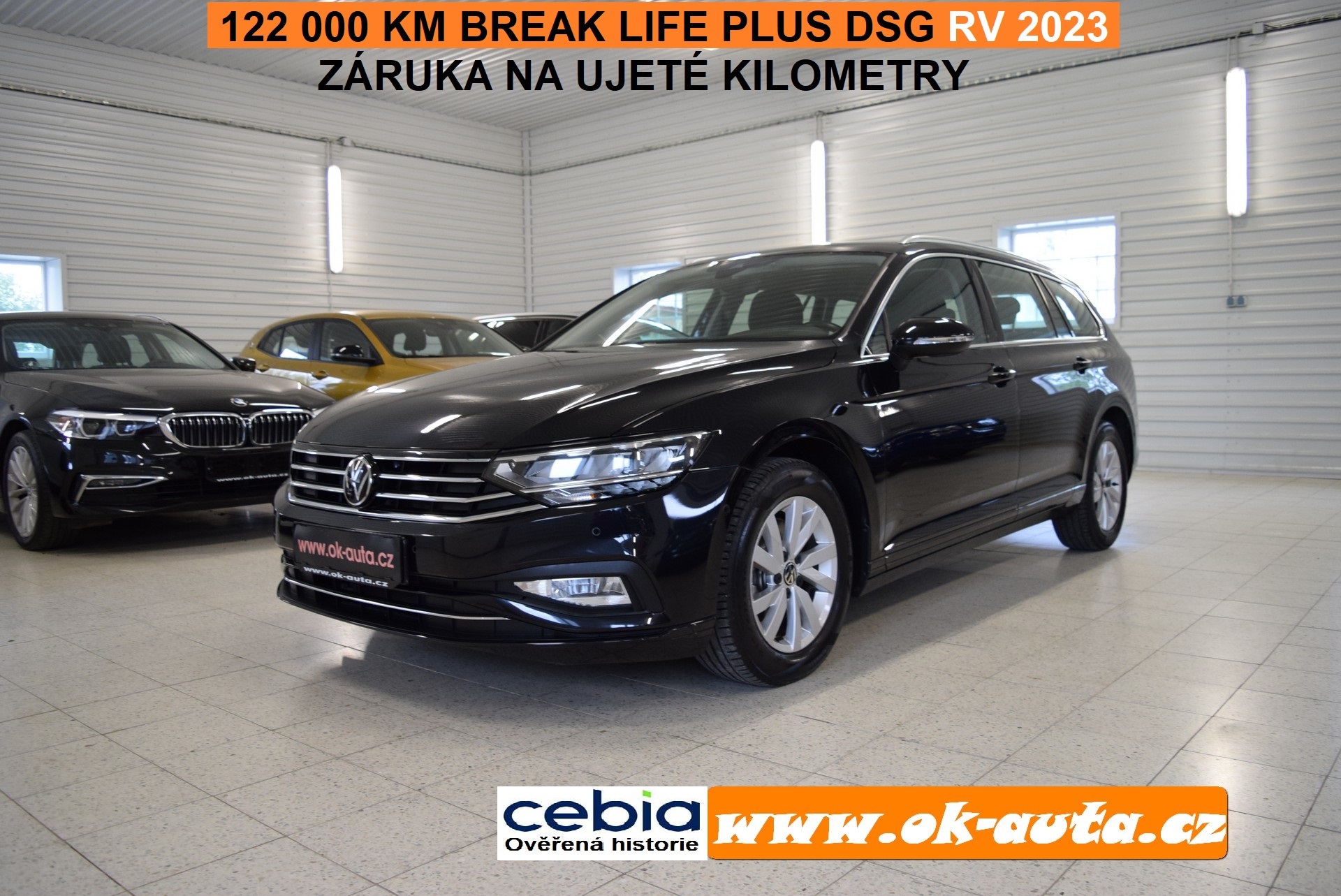 VW Passat 2.0 TDI Break Life DSG 07/2023